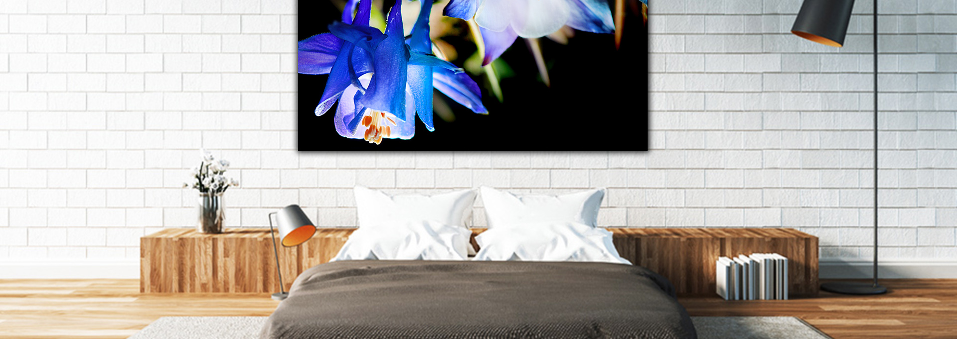 aquilegia_widescene